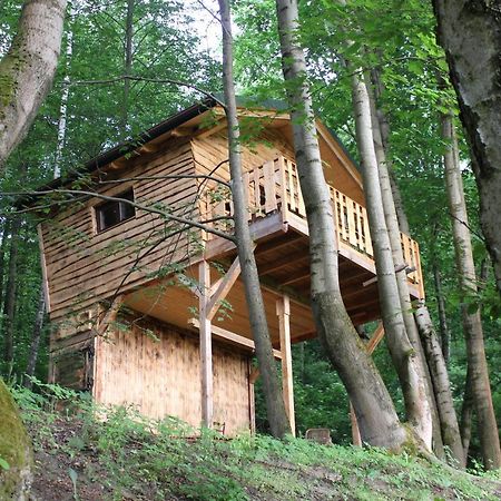 Treehouse Velké Losiny Exterior foto