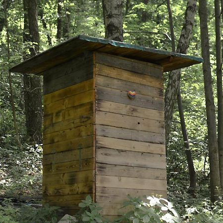 Treehouse Velké Losiny Exterior foto